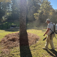 Pine-Straw-Installation-Oxford-MS 11